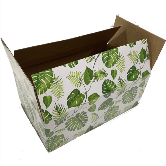 10 (10X6X4) ECO Banana Leaf Boxes PRICE IS FIRM - Picture 3 of 5